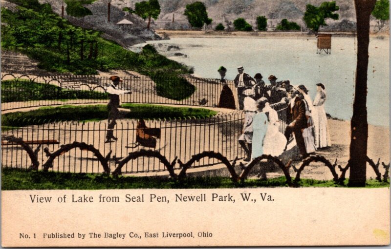 Hand Colored Postcard View of Lake From Seal Pen in Newell Park, West Virginia