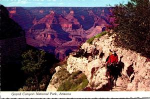 Arizona Grand Canyon Returning Mule Train