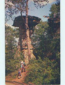 Pre-1980 NATURE SCENE Wisconsin Dells - Near Baraboo & Portage WI AD3807