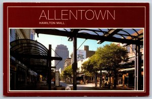 Allentown Pennsylvania~Hamilton Mall Street Scene~Vintage Postcard