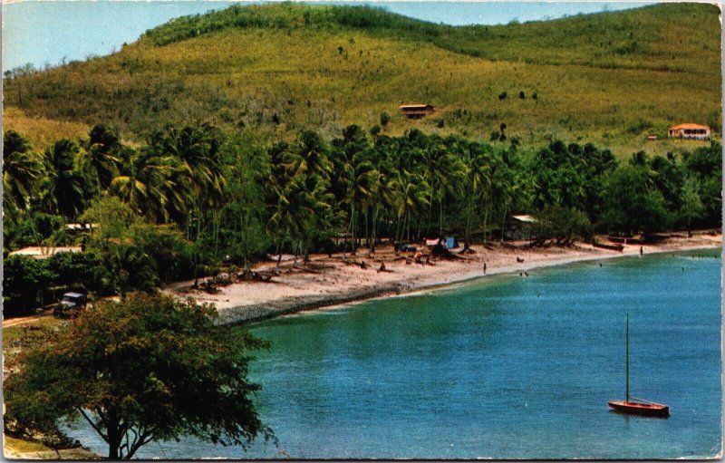Martinique Les Trois-Îlets Anse-Mitan Beach Vintage Postcard C195