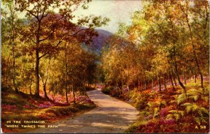 In the Trossachs Where Twines the Path Brian Gerald Art Postcard unused 1940s50s