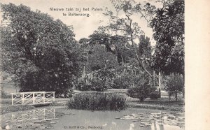 L228 Indonesia Dutch East Indies Buitenzorg vintage postcard