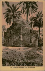 B577 Tunisia Tozeur marabout