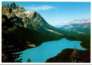 Canada Banff National Park Peyto Lake