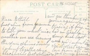 BR102665 painting postcard japan