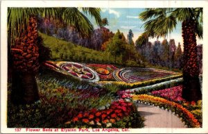 California Los Angeles Elysian Park Flower Beds