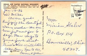 Ajo Arizona 1960s Postcard Organ Pipe Cactus National Monument Visitor Center