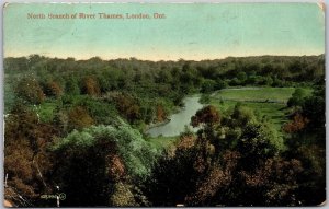 Postcard London Ontario c1909 North Branch of River Thames Middlesex Co. *as is*