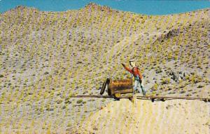 Nevada Painted Rock Bloody Butch