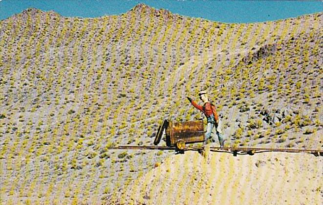 Nevada Painted Rock Bloody Butch