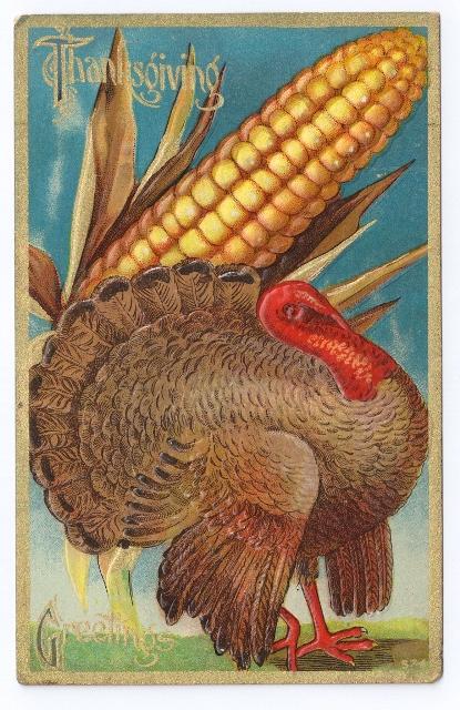 Tom Turkey Corn Embossed Gilded Vintage Thanksgiving Postcard