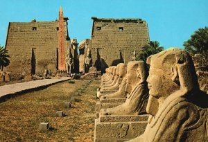 Postcard Avenue Des Sphinxes Au Temple De Luxor Historical Landmark Luxor Egypt 