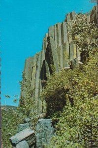 Devils Postpile Monument Inyo National Forest Postcard