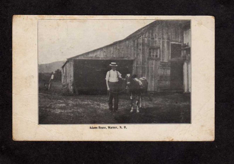 NH Adams House Warner New Hampshire Vintage Postcard Farmer Cow Barn UDB