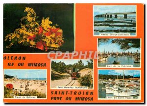 Modern Postcard Island Orelon (Ms. Ch) Island Mimosa Beach Gatseau Small Tram...