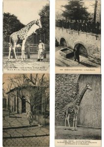 ZOO JARDIN DE PLANTES ANIMAUX 200 CPA pre-1930 (L4066)