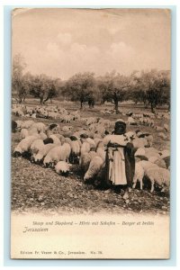 c1910 Sheep and Shepherd Jerusalem RPPC Photo Germany Antique Postcard