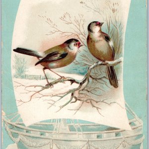 c1880s Finch Birds on Winter Sailboat Litho Stock Trade Card Snow Fantasy C37