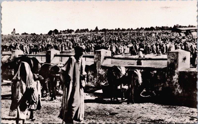 Algeria Scénes et Types Un Souk Vintage RPPC C156