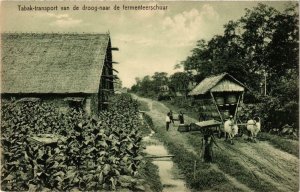 PC CPA Tabak-transport van de droog-naar de fermenterschuur INDONESIA (a9713)