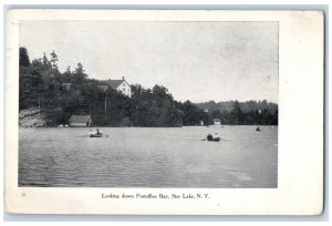 c1910's Looking Down Postoffice Bay Star Lake New York NY Antique Postcard