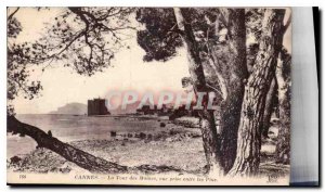 CARTE Postale Old Cannes La Tour des Moines view taken between Pins