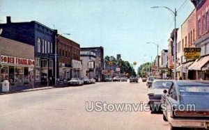 Business District in Fremont, Michigan