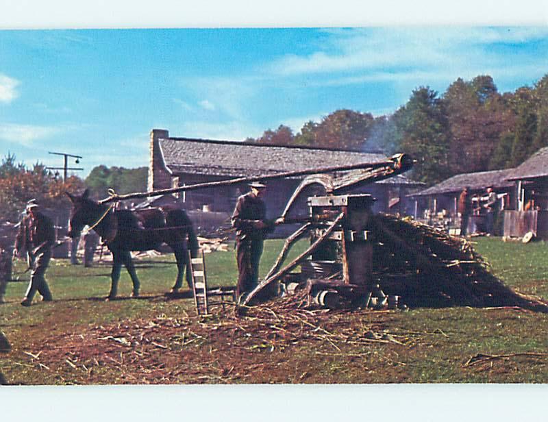 Unused Pre-1980 MUSEUM SCENE Norris Tennessee TN hr0302