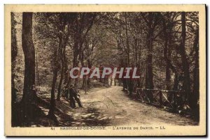 Old Postcard Bagnoles De L Orne L Avenue Du Dante