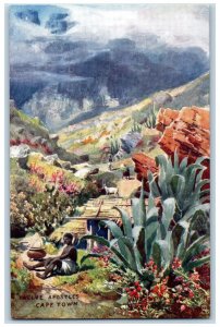 c1910 Cape Town Twelve Apostles South Africa Oilette Tuck Art Postcard 