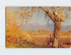 Postcard Organ Mountains to the west of Las Cruces, New Mexico