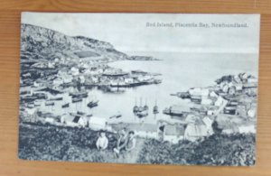 Red Island Placentia Bay Newfoundland Vintage Postcard (H1D)