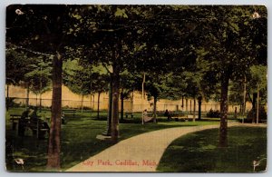 Cadillac Michigan~View Down Path @ City Park~Nickels-Mertz Vintage Postcard