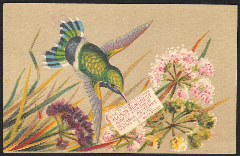 VICTORIAN TRADE CARD Brown Books Papers Pens Demorest Patterns Bird Flowers