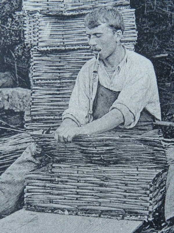 France GOLFE JUAN Traditional BASKET MAKERS / WEAVING c1905 Postcard