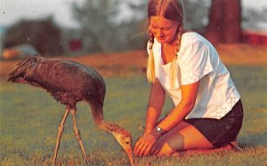 International Crane Foundation - Baraboo, Wisconsin WI