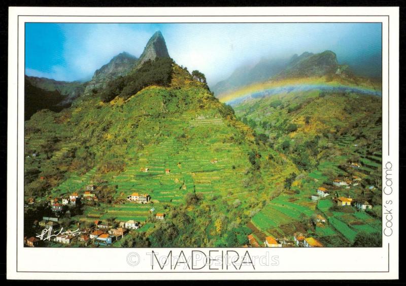 MADEIRA - Cock's Comb - Ribeira  Brava