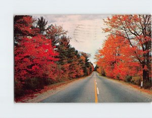 Postcard The Only One On Earth, From Henniker, New Hampshire