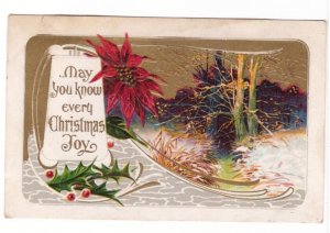 May You Know Every Christmas Joy, Holly, Poinsettia, Antique Embossed Postcard