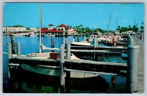 Municipal Yacht Basin, Daytona Beach, Florida FL, Vintage Chrome Postcard