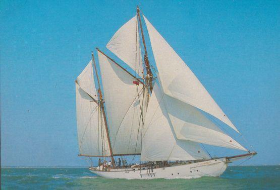 Cariad Tall Sailing Ship Lord Dunraven Southampton Cruise Postcard