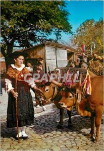 Modern Postcard Portugal Minho typical costumes of the region hitch B�ufs