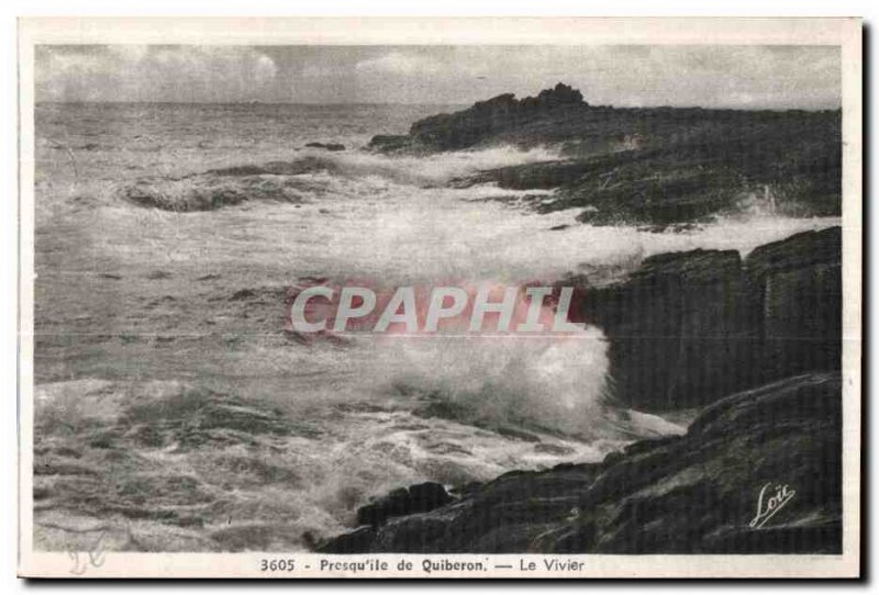 Old Postcard Presqu island of Quiberon Le Vivier