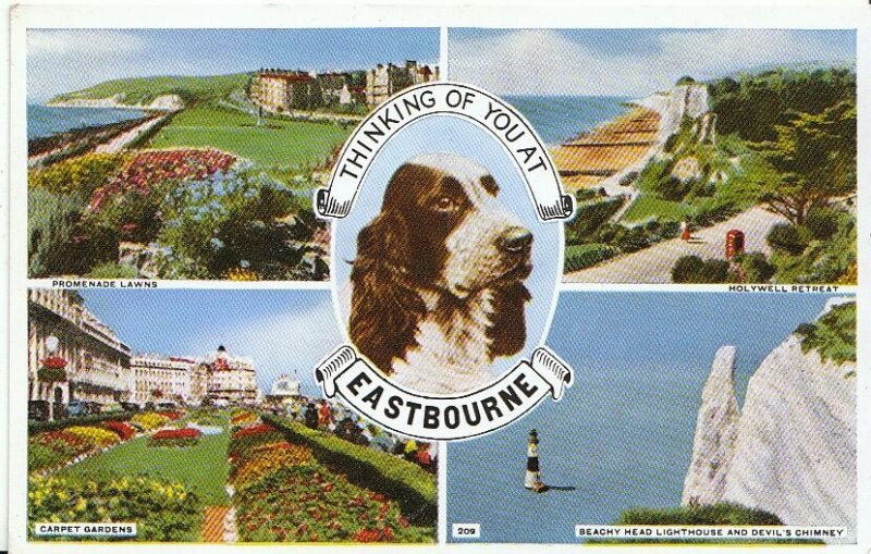 Sussex Postcard - Thinking of You at Eastbourne   2956