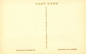 Panama Pacific Line - SS California 