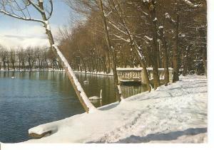 Postal 045870 : Puigcerda. El Llac a lhivern