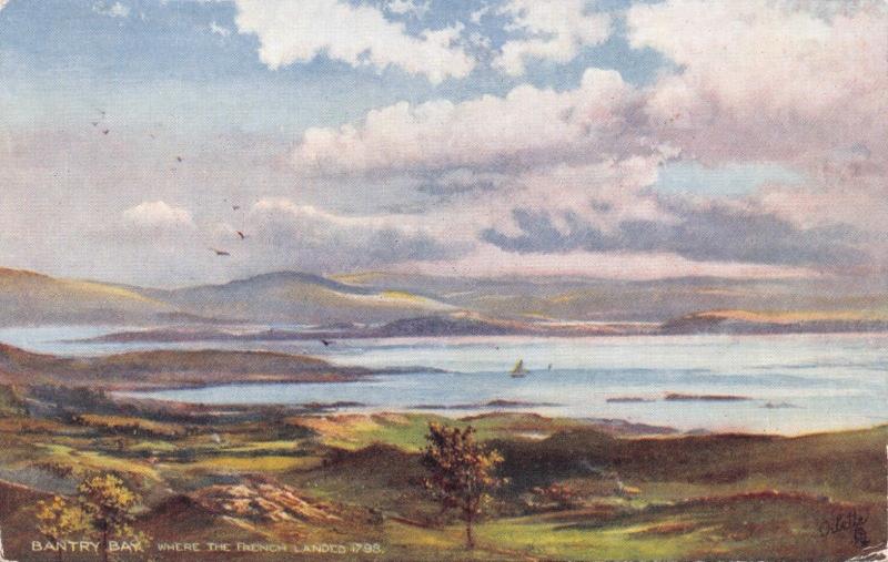 Bantry Bay County Cork Ireland UK~Tuck Sunnyside Series Oilette POSTCARD