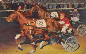 J67/ Chicago Illinois Postcard Linen Maywood Park Harness Horse Race 338