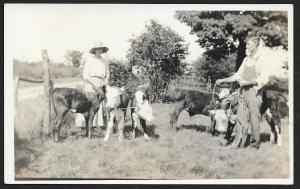 Farm Man Woman & Calves in Field RPPC Unused c1910s